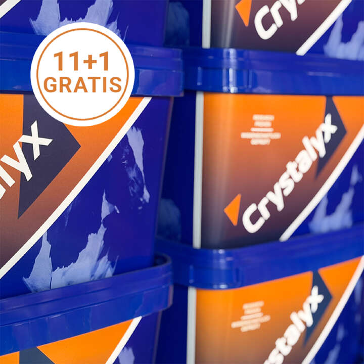 Crystalyx Sommeraktion 800x800